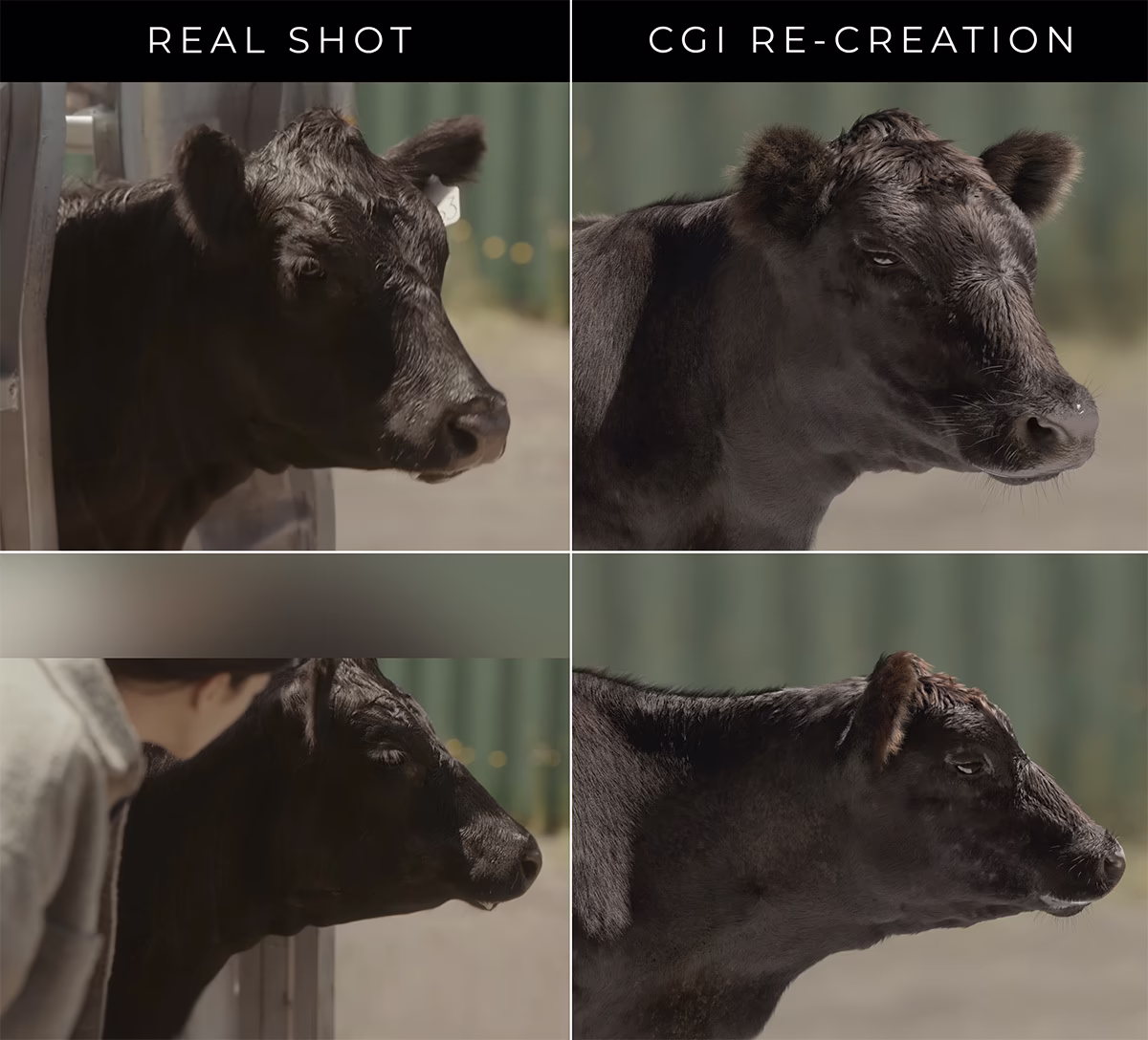 In Vitro CG cow — Future Associate VFX