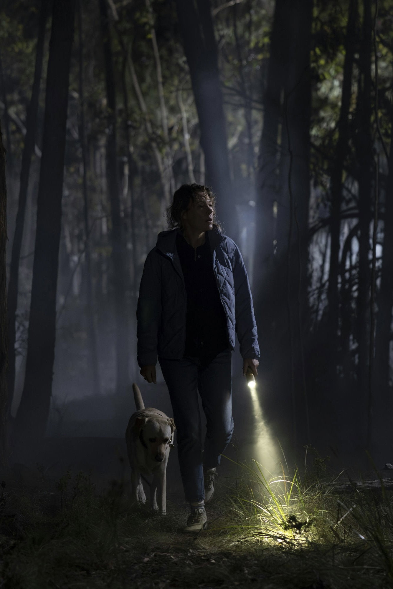 Wilderness VFX visual effects by Future Associate